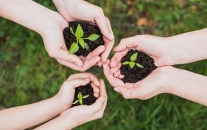 ROLE OF EDUCATION IN SUSTAINABLE DEVELOPMENT
